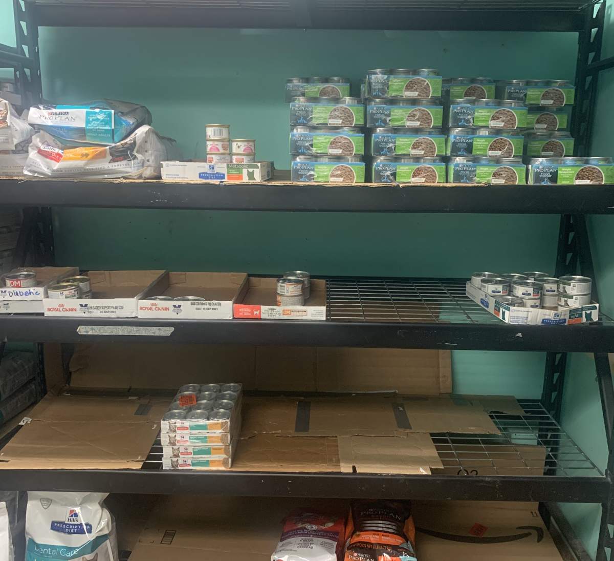London’s humane society holds ‘virtual food drive’ to help stock near-depleted supply - image