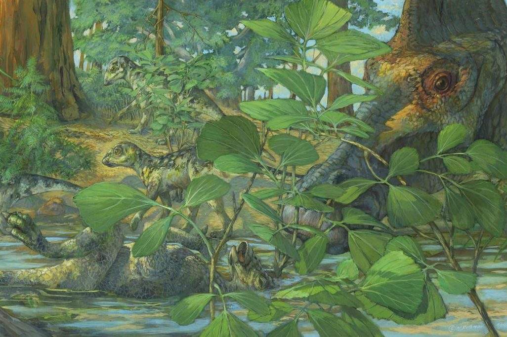 A reconstruction of the nesting ground of Hypacrosaurus stebingeri from the Two Medicine formation of Montana.