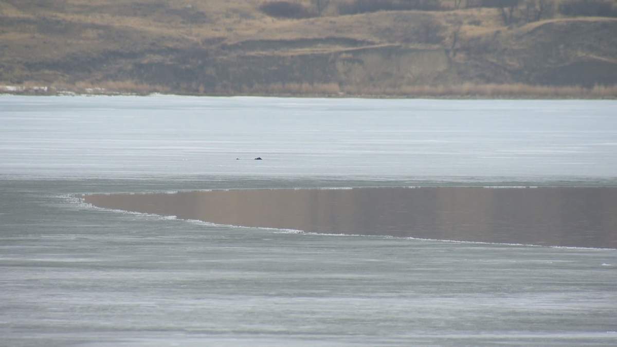 The Water Security Agency is working to raise Last Mountain Lake's water levels going into the summer months. 