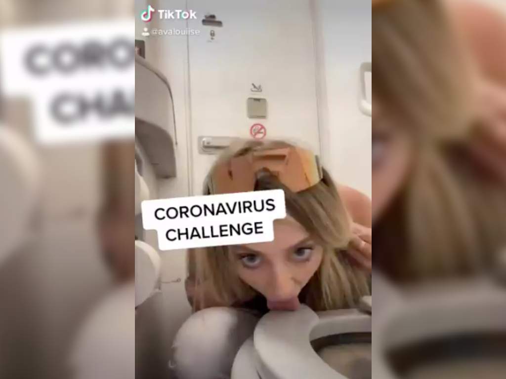 TikTok star and Instagram model Ava Louise posted a video of her licking an airplane toilet seat.