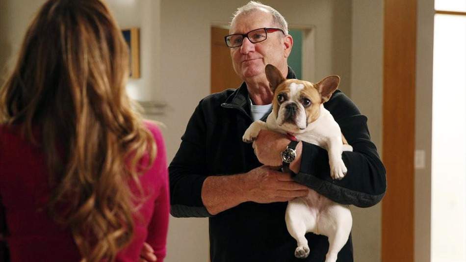 The French bulldog from 'Modern Family' has died.