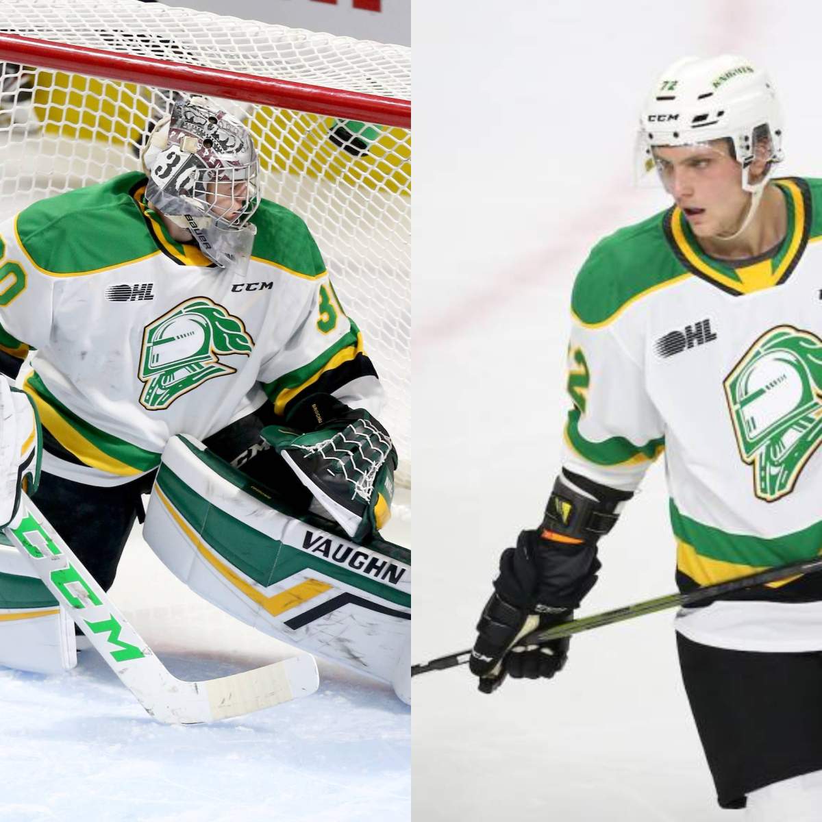 Brett Brochu, Alec Regula earn monthly Ontario Hockey League honours - image