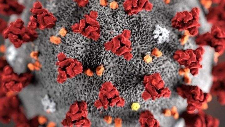 In this illustration provided by the Centers for Disease Control and Prevention (CDC) in January 2020 shows the 2019 novel coronavirus (2019-nCoV).