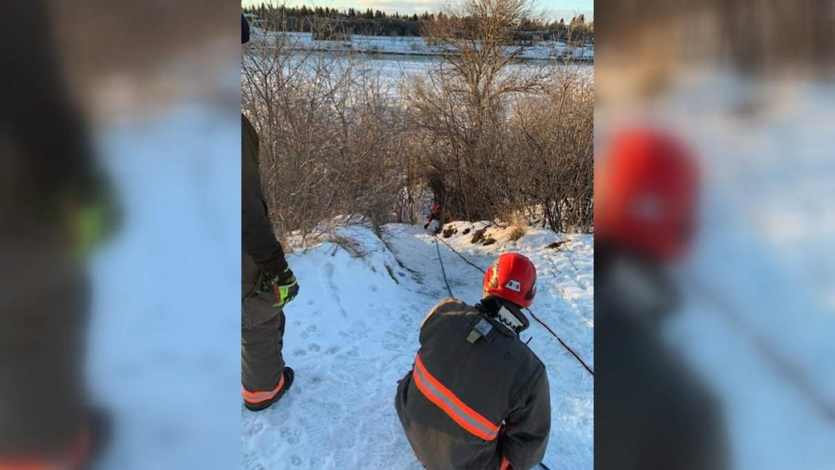 Saskatoon firefighters rescue a man from the riverbank at the Sutherland dog park on March 2, 2020.