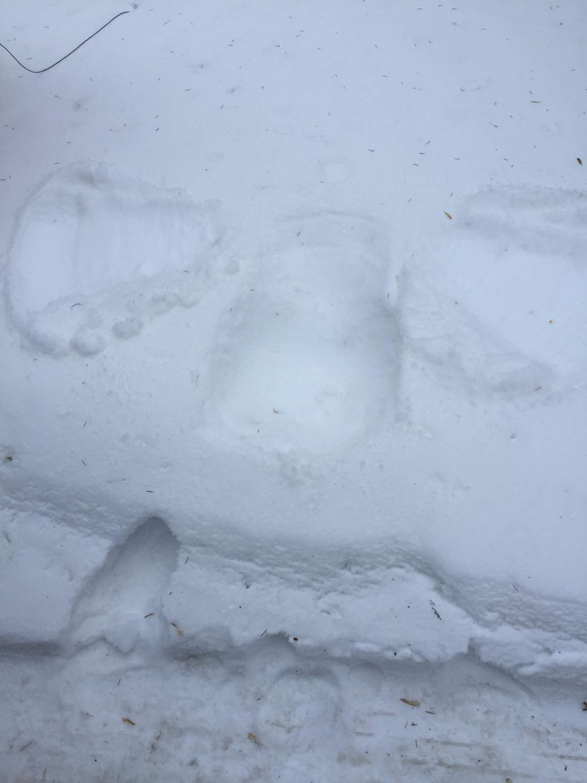 A snow angel, made by Myrtle Nicholson on her 100th birthday.