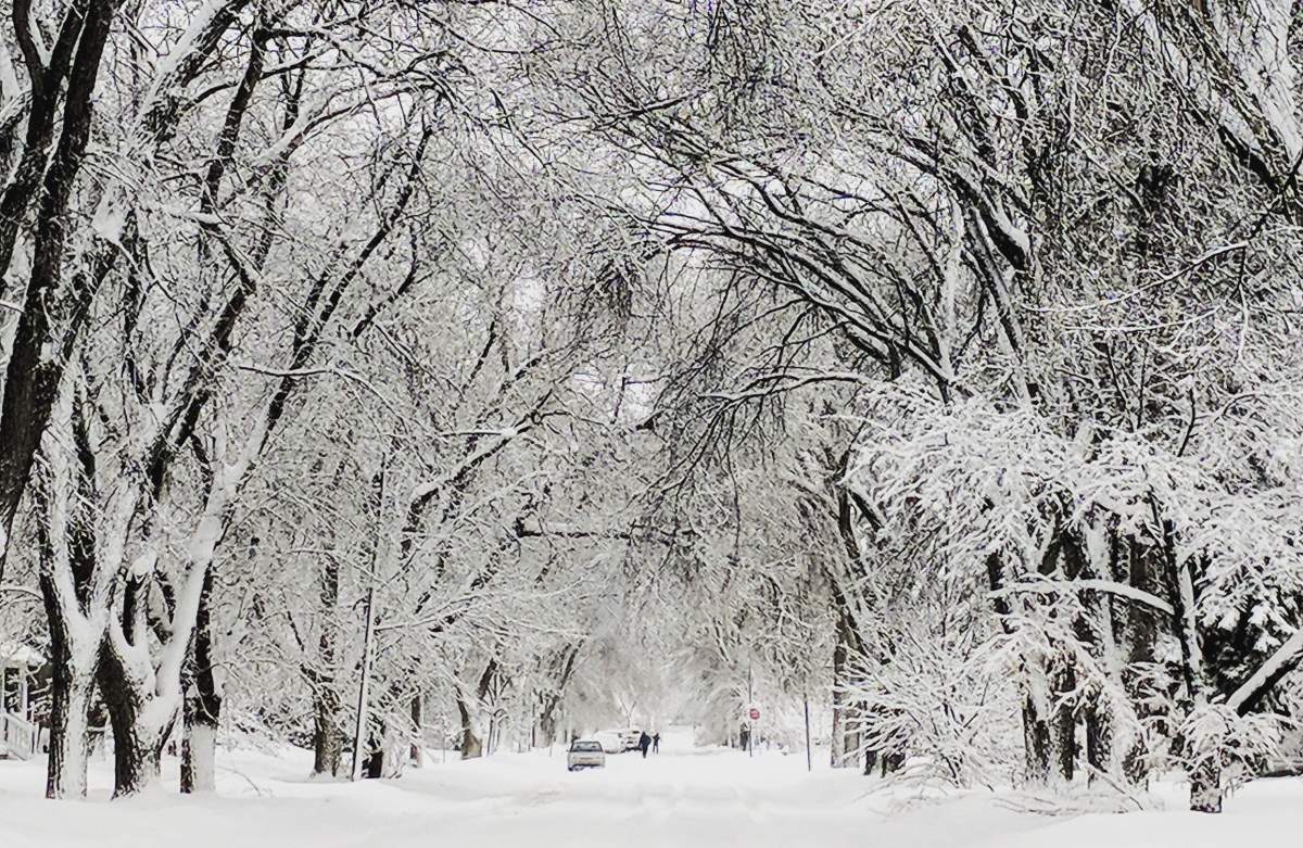 Southern Manitoba, including Winnipeg, was put under a snowfall warning Wednesday afternoon.