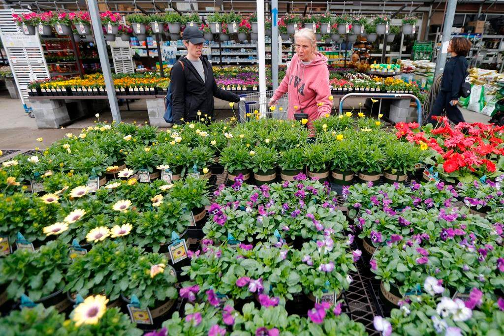 Gail Henrickson, right, and her daughter, Melissa, shop for plants at a local garden center as they stay at home during the coronavirus outbreak (AP Photo/Steve Helber).