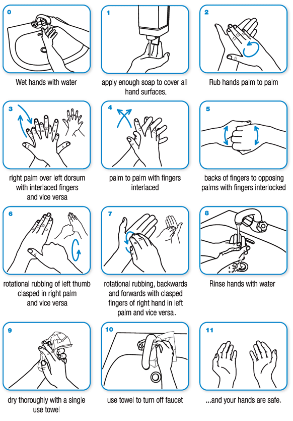 The World Health Organization’s official instructions on how to wash your hands.