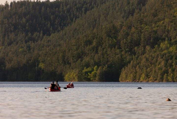 Canoers make their way along the Ottawa River as it winds through Driftwood Provincial Park west of Deep River, Ont, with the Laurentian Mountains as a backdrop on June 10, 2018.
