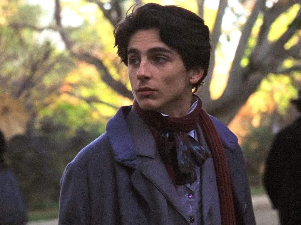 'Little Women.' Timothee Chalamet as Laurie, 2019.