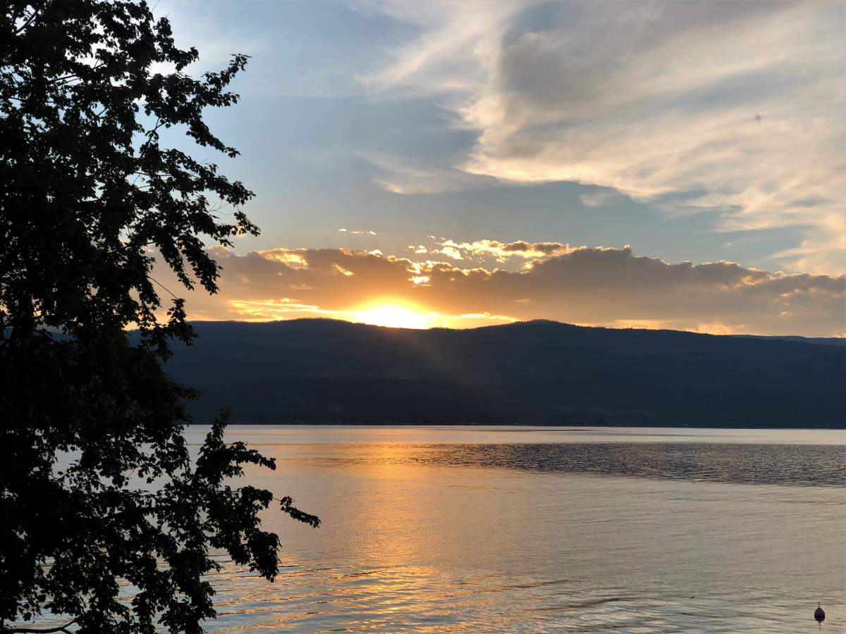 Interior Health issues E. coli warning for Lake Country beach, swimming advisory in place - image