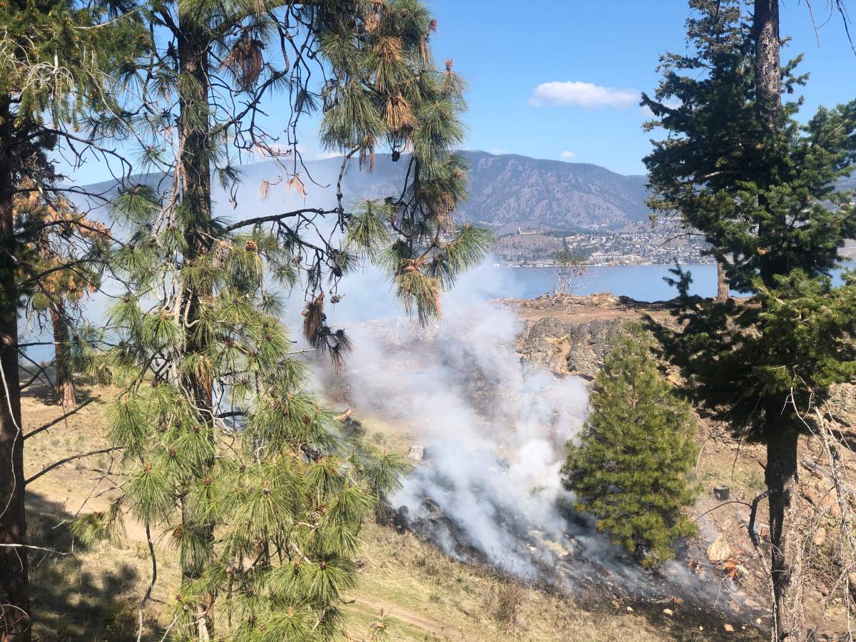 FILE. In the Okanagan wildfire is a common occurrence. What you do to prepare can make a difference. 