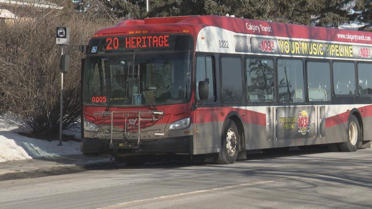 A Calgary Transit bus pictured in February 2020.