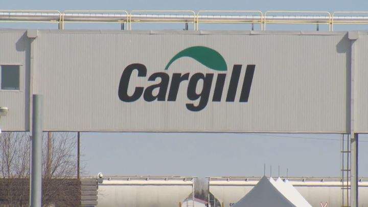 As a vote was held on Sunday, members of the United Food and Commercial Workers Local 175 rejected a negotiated settlement. Workers have been on the picket lines since Monday.