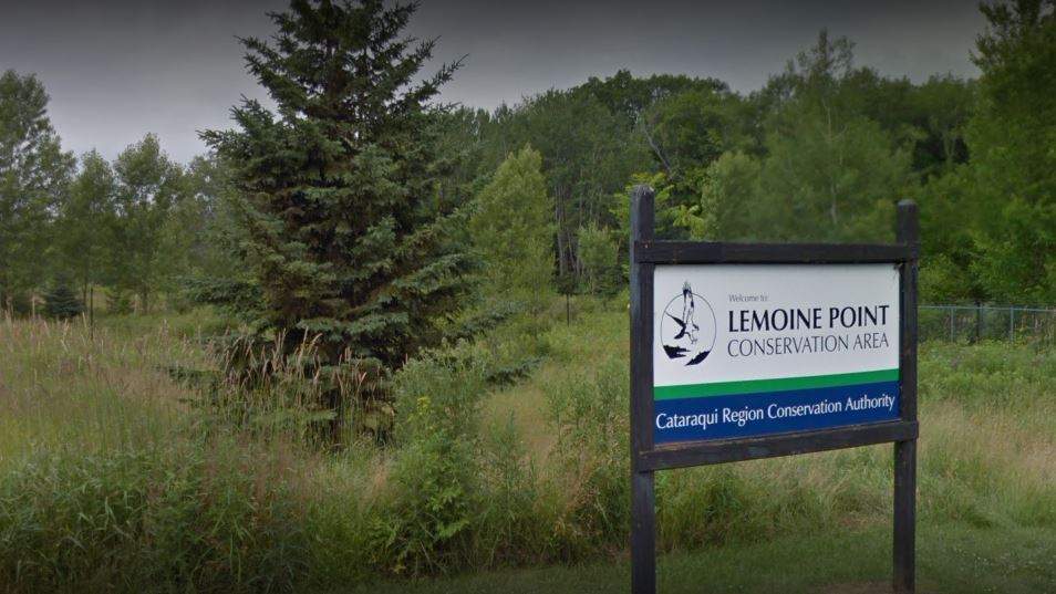KFL&A Public Health is advising that Cataraqui Region Conservation Authority reopen their trails if Kingston's COVID-19 numbers remain low.