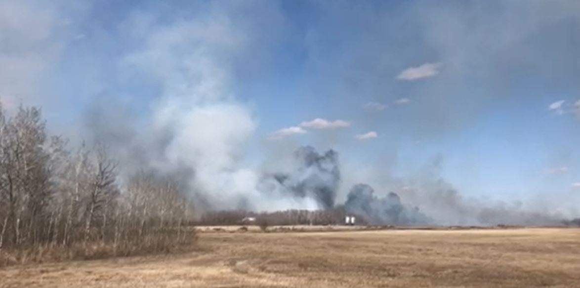 A submitted photo of a grass fire in Dalmeny.