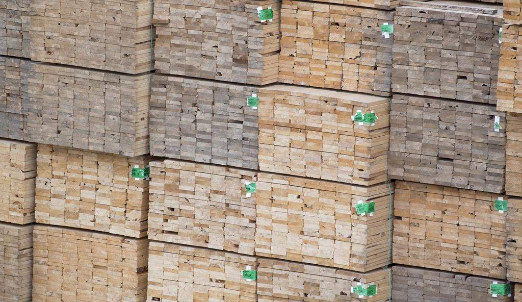 File photo. The Saskatchewan government said forestry sector sales rose 30 per cent in 2020 to $1.1 billion.