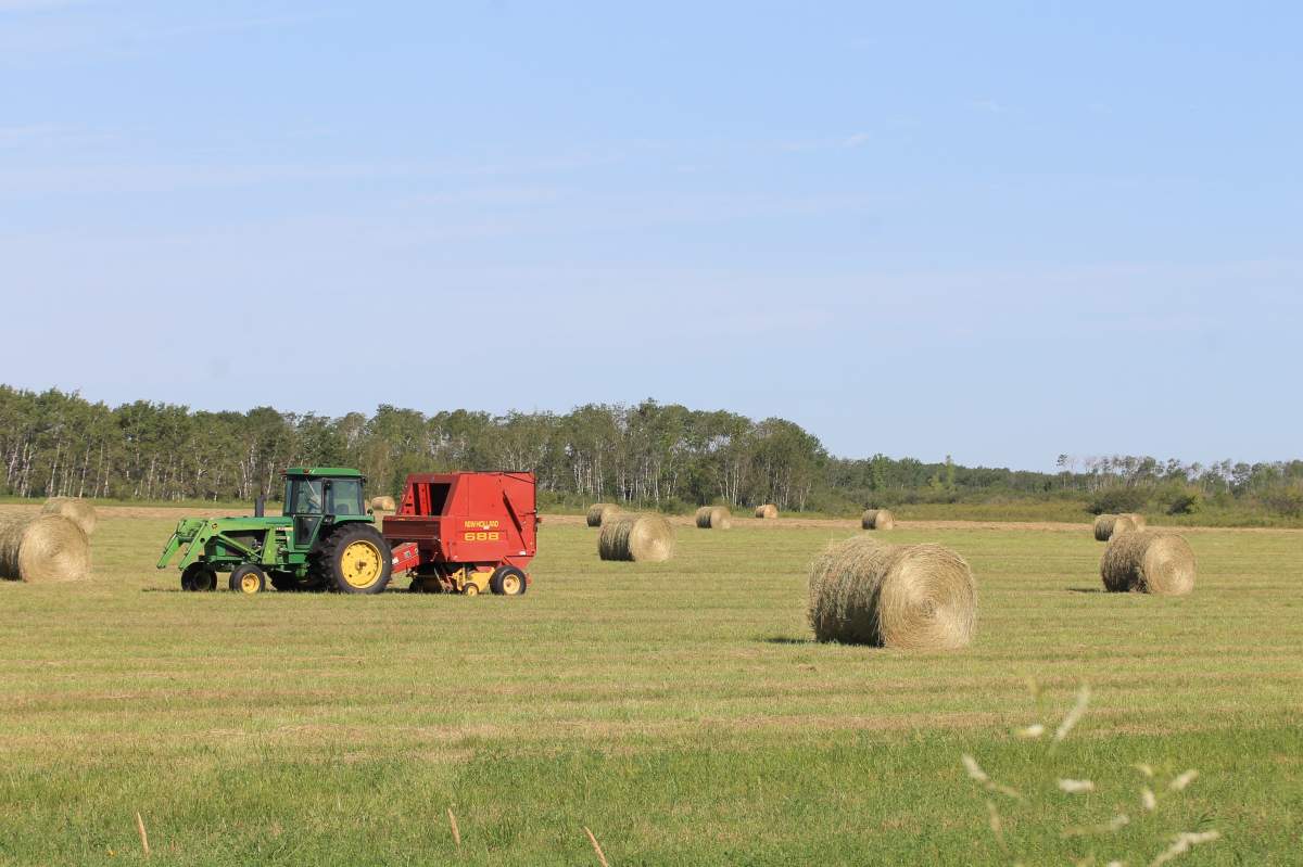 Farmers are getting ready to face new challenges in 2020, including a global pandemic.