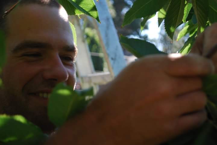David Olivier-Demers works on a farm in the Okanagan.