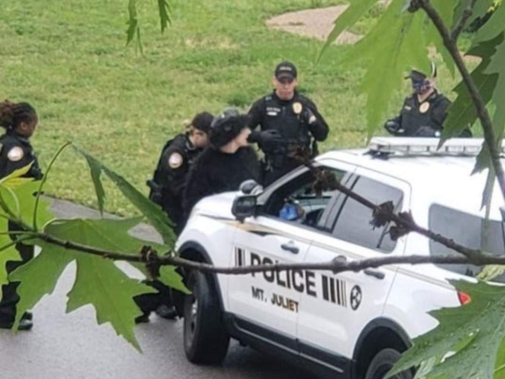 A man wearing a gorilla costume was arrested for alleged burglary after entering a home and scaring a 6-year-old girl on Sunday in Tennessee. 