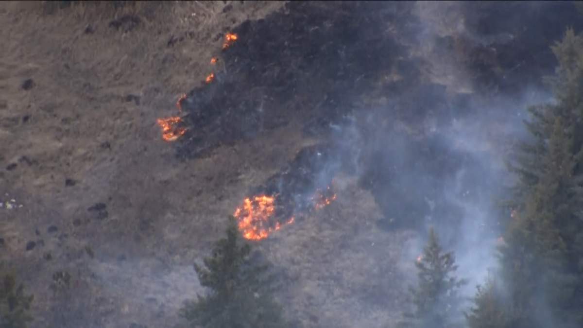 Crews from Calgary and Rocky View County responded to a grass fire on April 21, 2020.