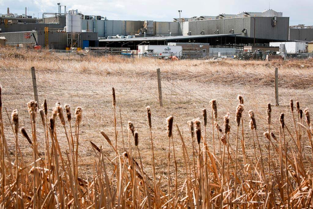 Cargill announced a temporary shut down of its beef plant near High River where officials in the area are dealing with over 400 cases of COVID-19 linked to the plant, including the death of a worker, in High River, Alta., Thursday, April 23, 2020.
