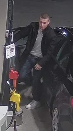 Police in Lindsay seek suspect after reported stolen vehicle found in Smith Falls - image
