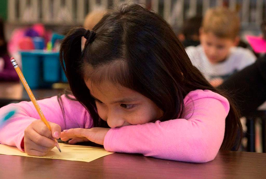 FILE - In this Nov. 26, 2018, file photo, Odalys Tebalan works on an assignment at Fairview Elementary in Carthage, Mo. 