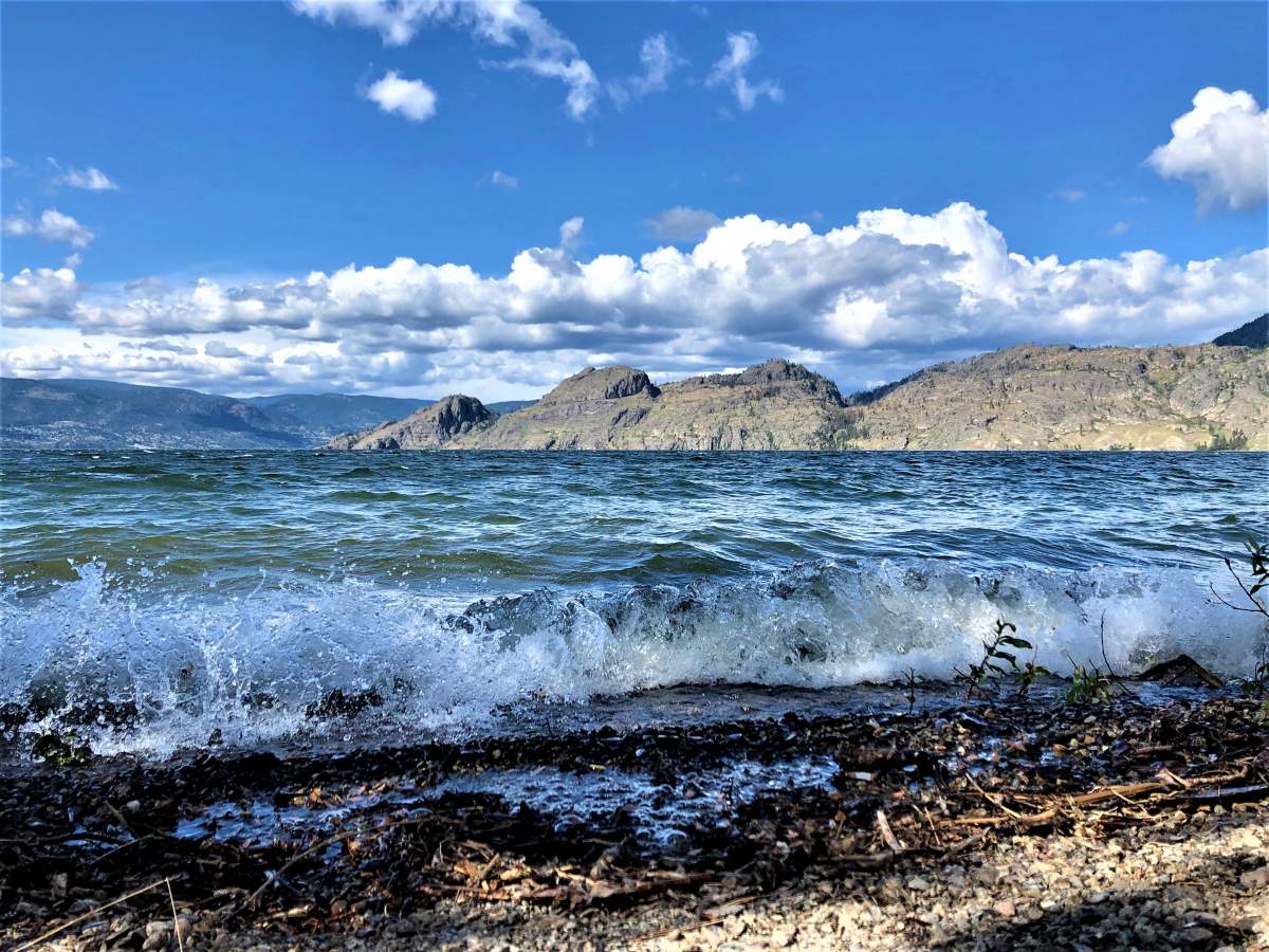 Okanagan Lake Provincial Park South Beach - Joelle Wall.