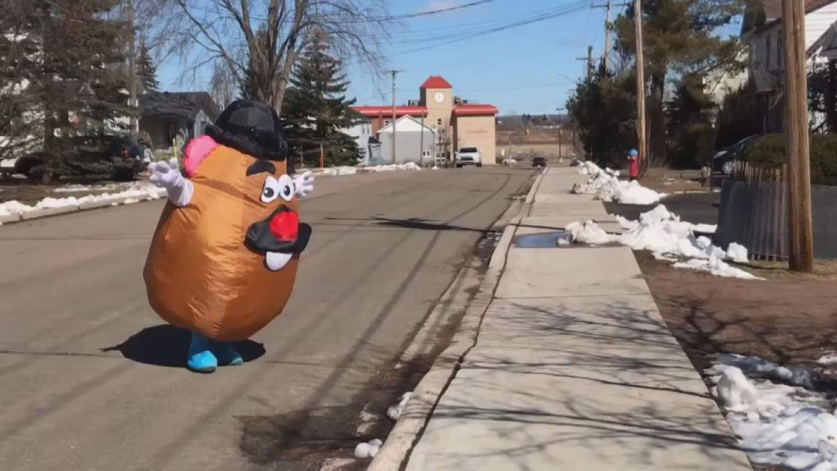 Debbie Tingley visits neighbourhoods dressed as Mr. Potato Head