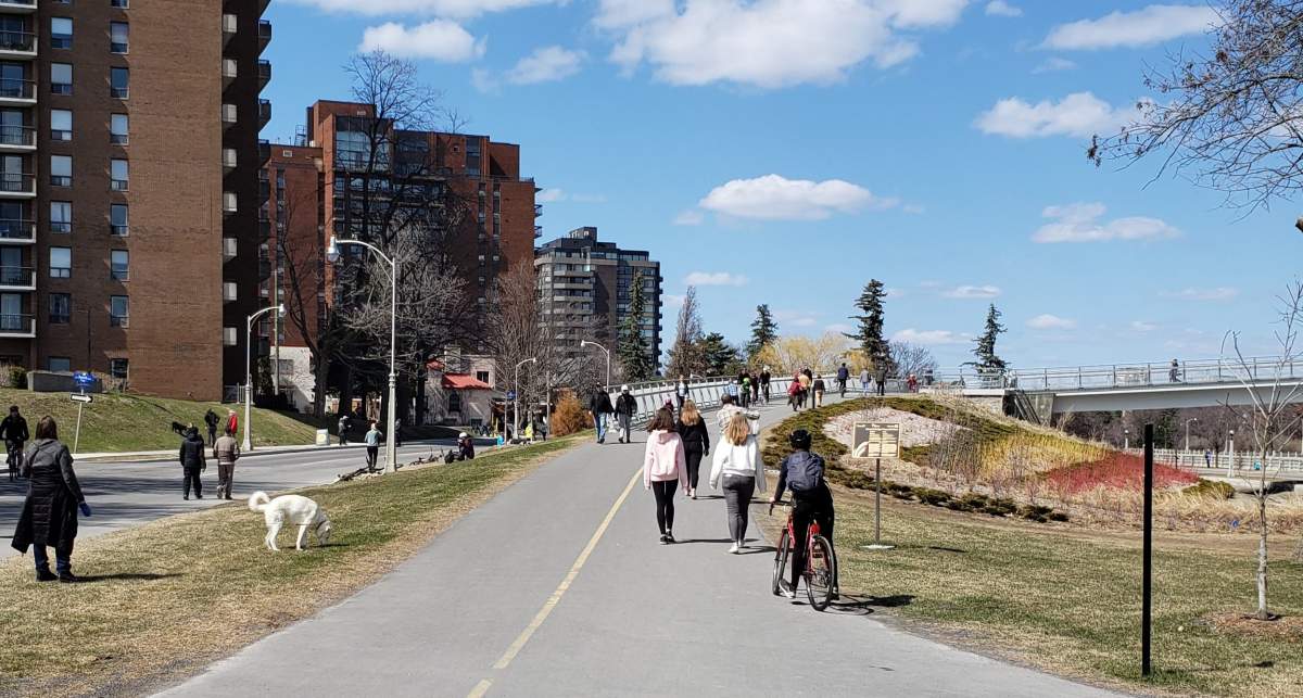 Pedestrians and cyclists on the Queen Elizabeth Driveway