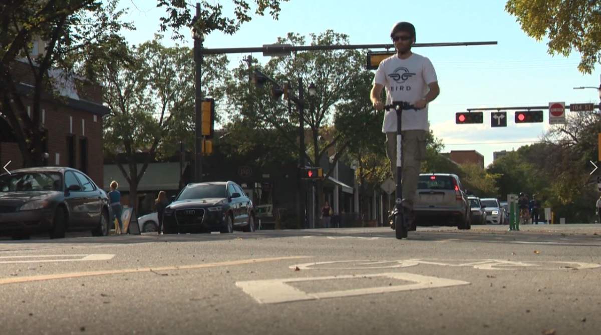 A rider travels on an e-scooter in a bike lane.
