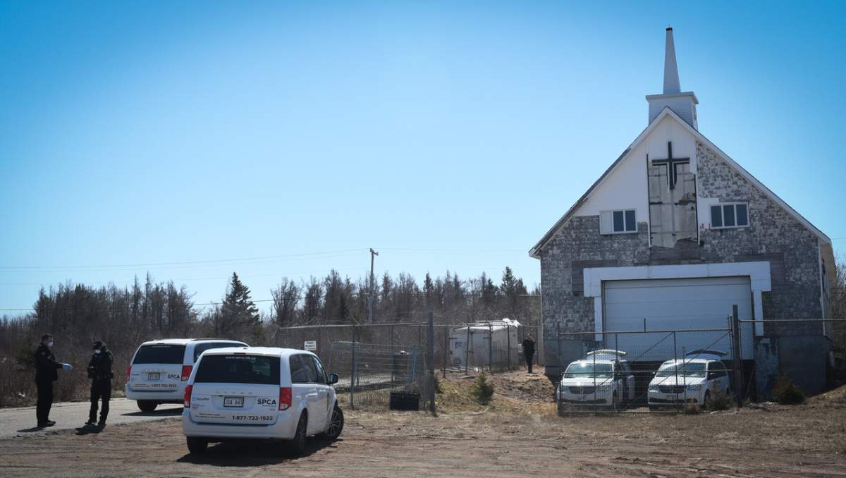 The property in Escuminac, N.B. where NB SPCA animal protection officers responded Tuesday