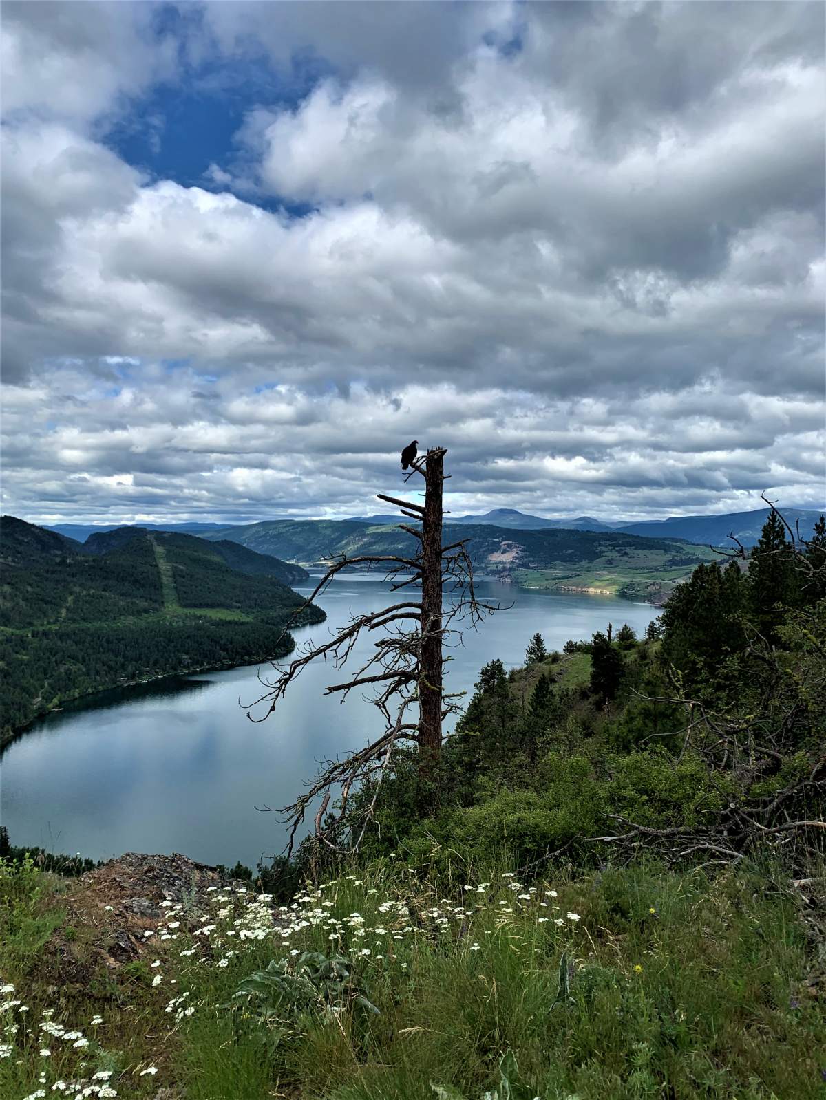 Two fires were reported in Cosens Bay last week.