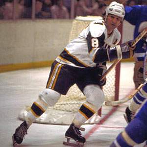 Webster captured an Avco World Trophy as a member of the New England Whalers in 1973.