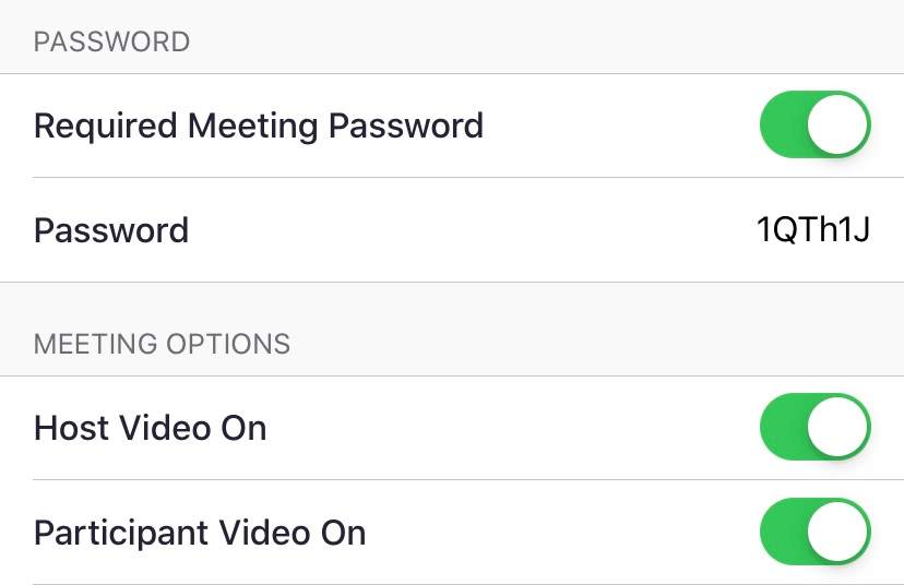 Screenshot of a Zoom meeting set up