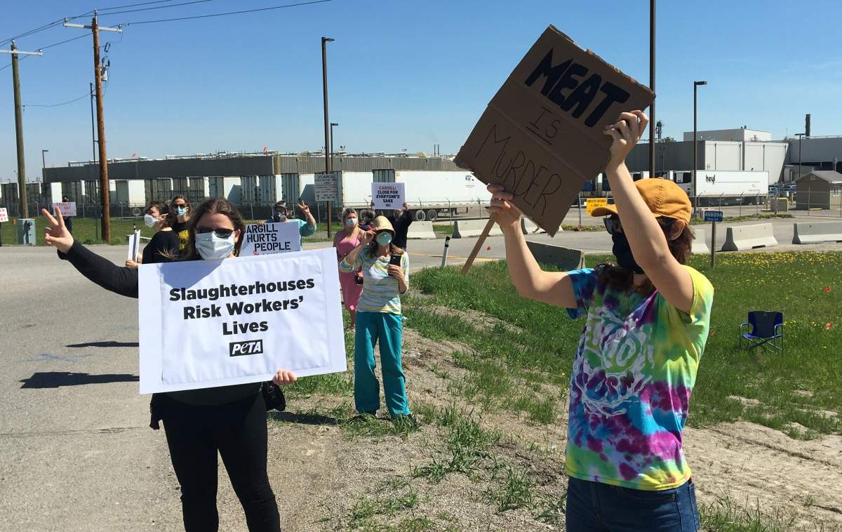 People protest conditions at the Cargill meat-packing plant in High River, Alta., on Saturday, May 30, 2020.