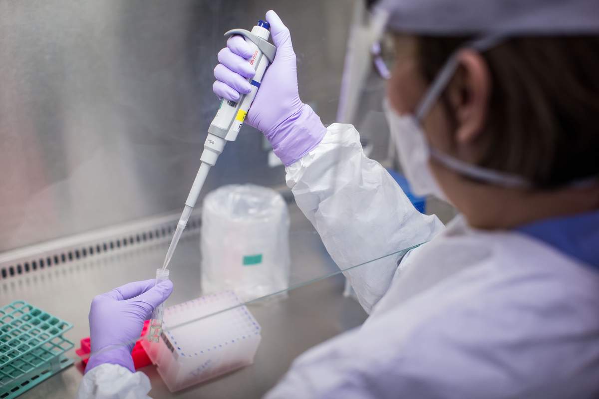 Research project sees mass coronavirus testing in Hamilton homeless shelters - image
