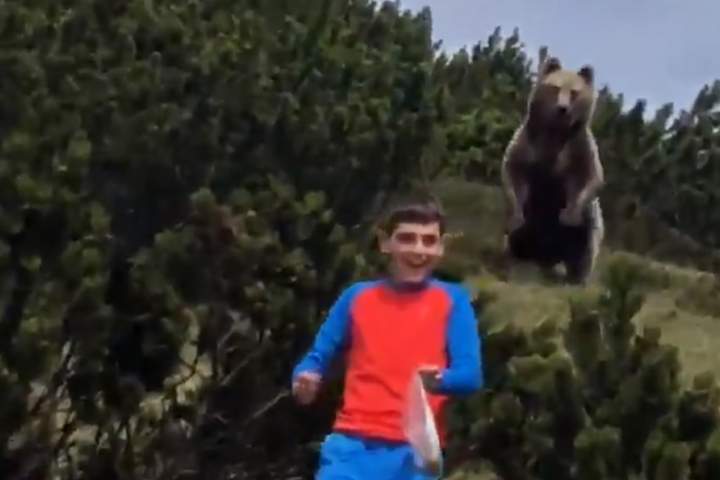 Alessandro Franzoi walks away from a bear he encountered in the mountains of northern Italy on May 24, 2020.