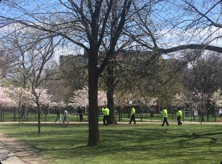 A group of bylaw officers patrol Trinity Bellwoods Park.