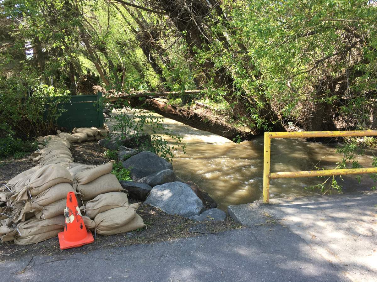 Coldstream Creek is running high. 