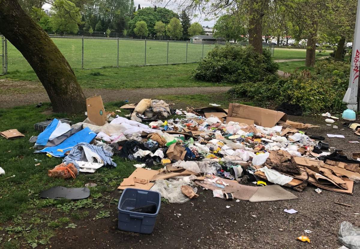 A load of trash dumped in Vancouver's Strathcona Park. 