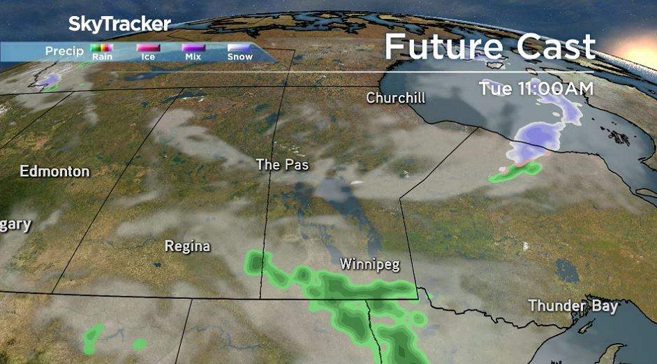 RPM Model run from May 4, 2020.