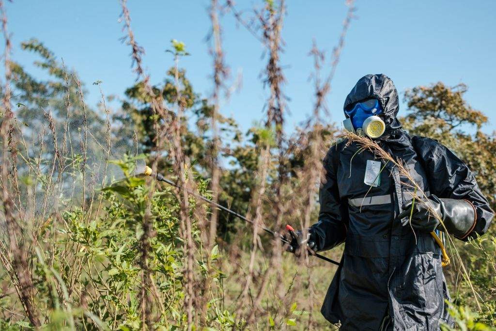 A soldier of the Uganda People’s Defence Forces sprays plants where the locust swarms will land with insecticides with the hopes of killing the locusts in Otuke on Feb. 17, 2020.