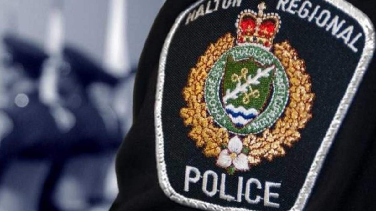 Halton police have recovered four stolen vehicles that were shipped to Dubai in 2023.