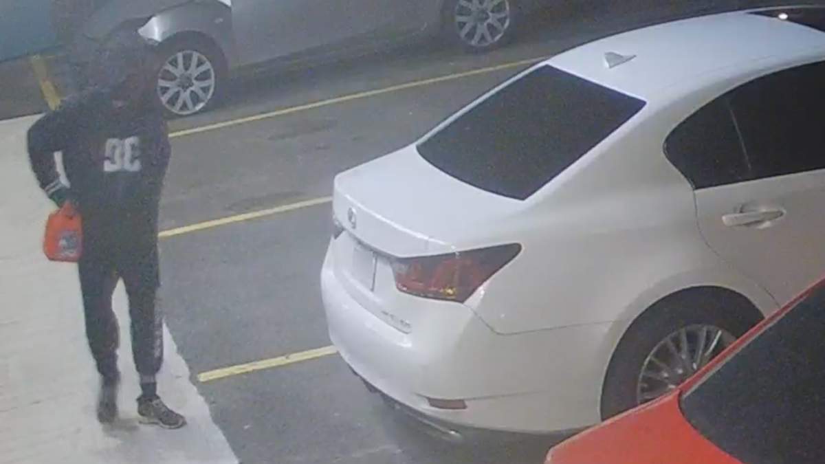 Arson suspect lit himself on fire while trying to torch cars in Halton Hills, say police - image