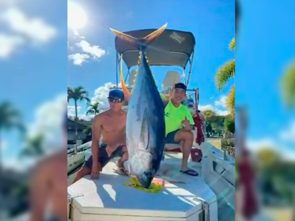 A group of five fishermen caught a 200-pound ahi tuna and donated it to front-line health-care workers during the coronavirus pandemic.