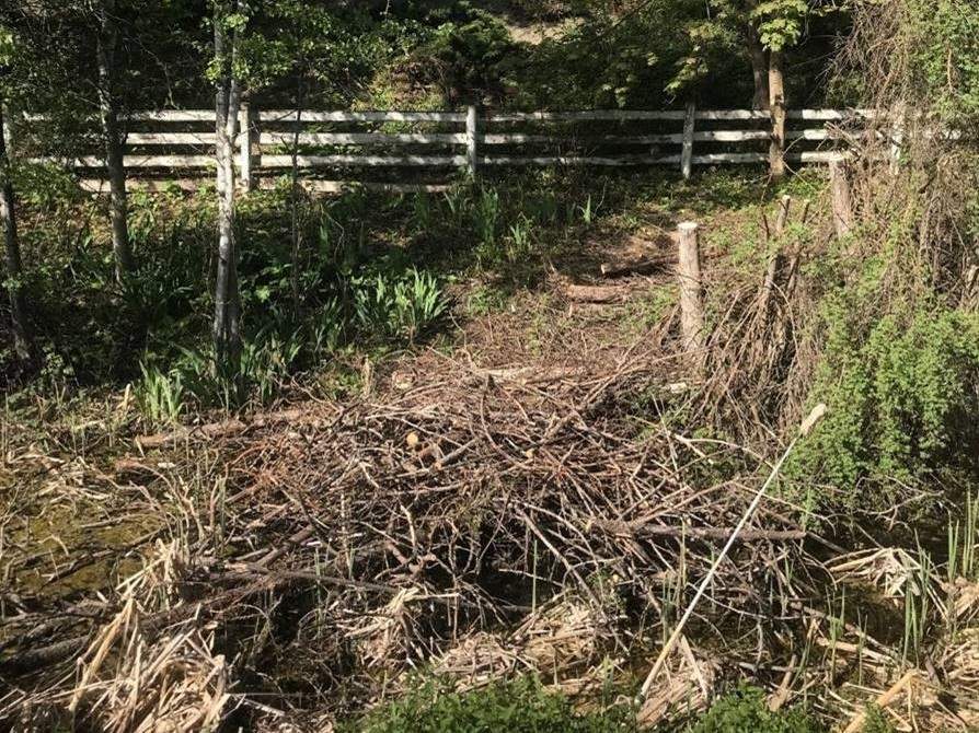 The regional district said anyone who sees someone removing or vandalizing RDNO land to call bylaw services at 250-550-3700.