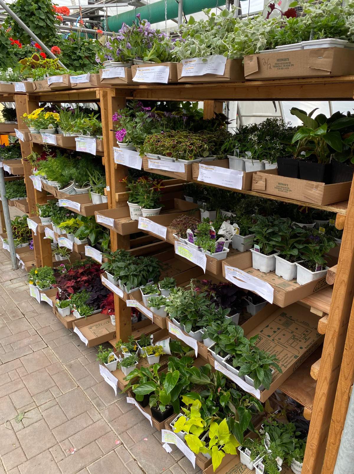 Heeman’s greenhouse in London getting online orders read.