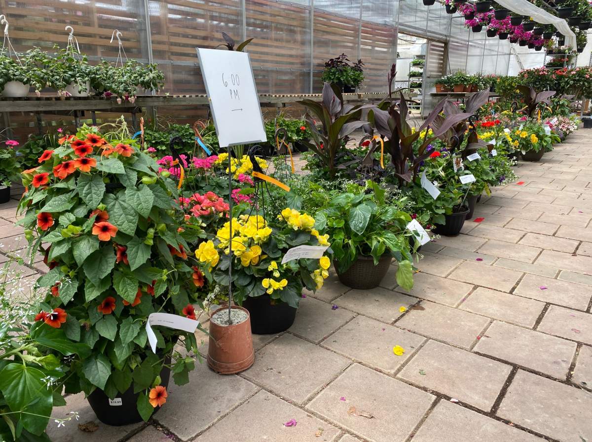 Heeman's greenhouse in London getting online orders read. 